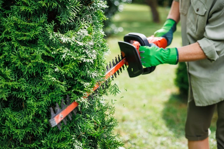 Scène extérieure de jardinage avec personne utilisant une tondeuse à gazon thermique sur pelouse verdoyante