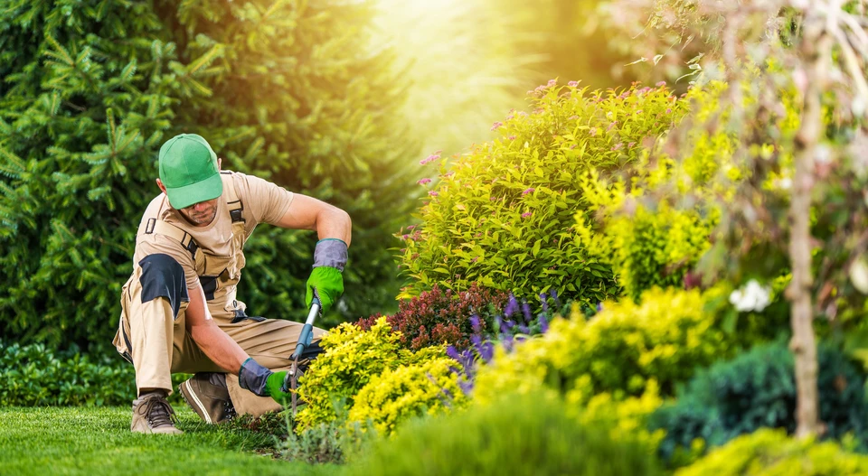 Homme en t-shirt beige utilisant une tondeuse à gazon autoportée dans un jardin paysager au coucher du soleil